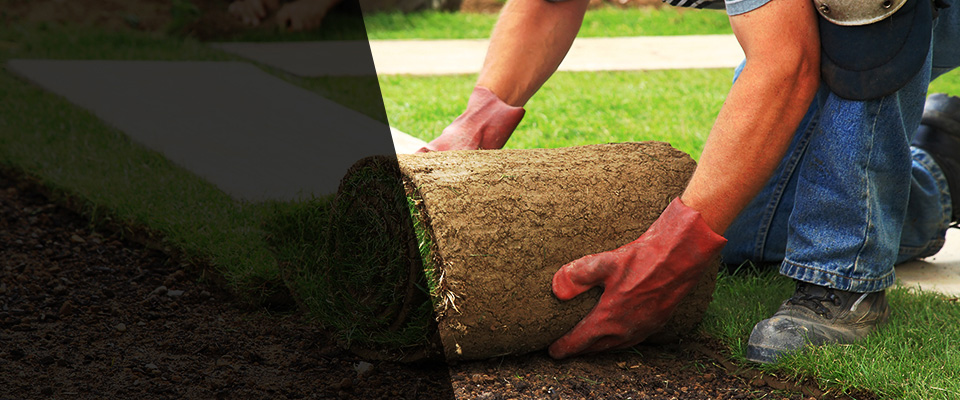 Manila Landscapers